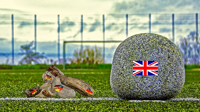 消费者将能 消费者将能